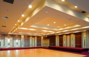 Suspended Ceiling Contractors for London